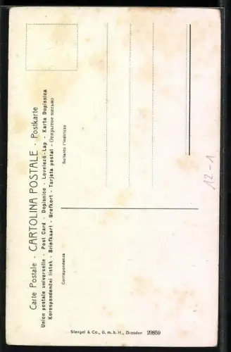 Künstler-AK Stengel & Co. Nr. 29859: La Maddalena