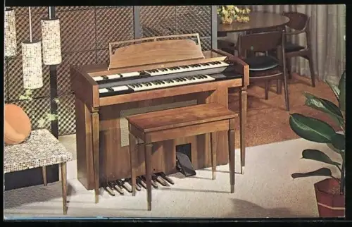 AK The New Caprice, Orgel