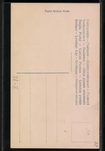 Künstler-AK Lohengrin bedauert letzte, traurige Fahrt