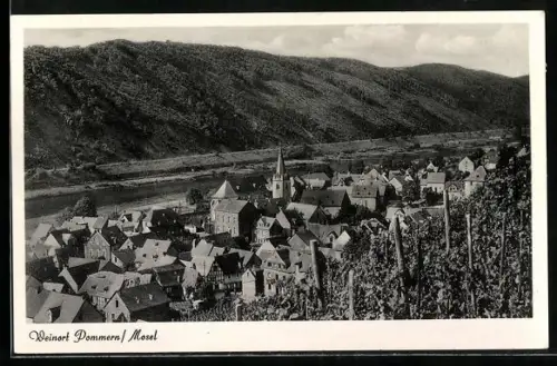 AK Pommern /Mosel, Ortsansicht, Kirche, Weinberge