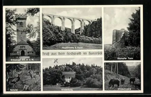 AK Hoxel / Hunsrück, Erbeskopf, Hochbrücke b. Hoxel, Stumpfer Turm, Wildenburg