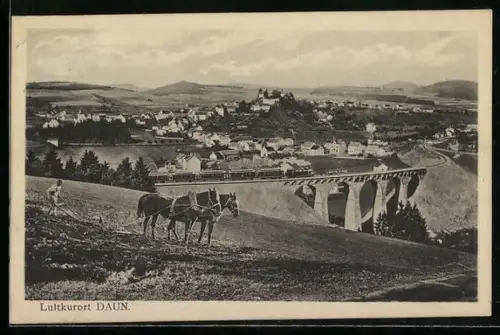 AK Daun, Viadukt, Ortsansicht, Landwirtschaft