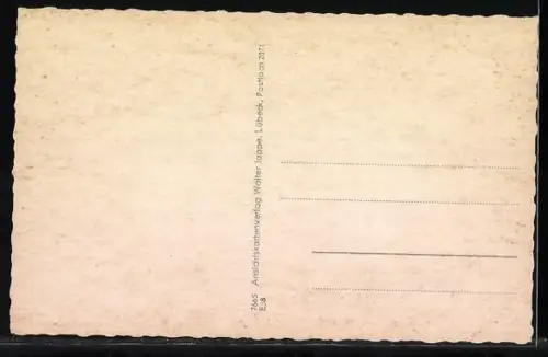 AK Häuslingen /Lüneburger Heide, Geschäft v. Ilse Dreyer, Partie am Kolk, Kirche, Heldenfriedhof