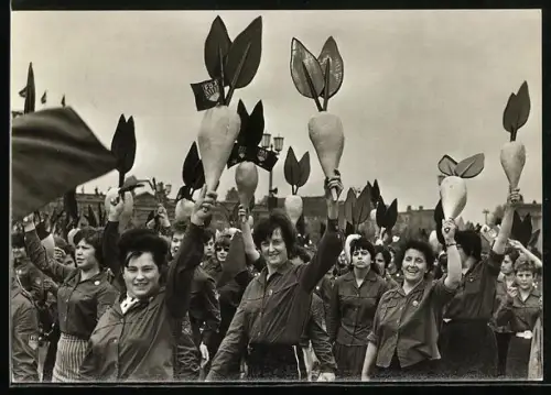 AK Berlin, Demonstration des Fortschritts in der Rübenzucht beim Deutschlandtreffen 1963