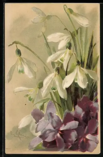 Künstler-AK Catharina Klein: Violette und weisse Blumen