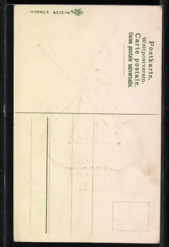 AK Windmühle aus Vergissmeinnicht, Blumenbild