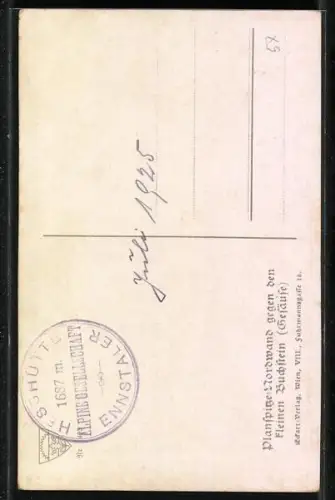 Künstler-AK Bruno Hess: Deutscher Schulverein Nr. 1493, Planspitze-Nordwand gegen den kleinen Buchstein