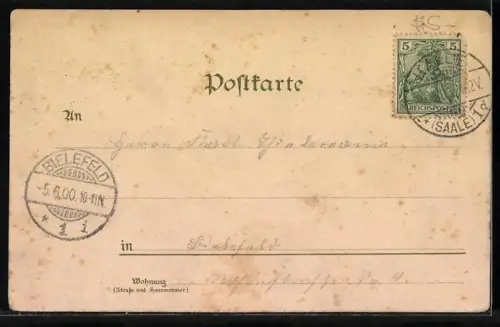 Lithographie Halle a. S., Gasthaus Dölauer Haide, Waldhaus, Knusperhäuschen, Kinderspielplatz, Wandelhalle