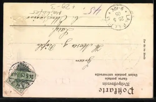 Passepartout-Lithographie Lahr i. B., Ortsansicht aus der Vogelschau, Maikäfer