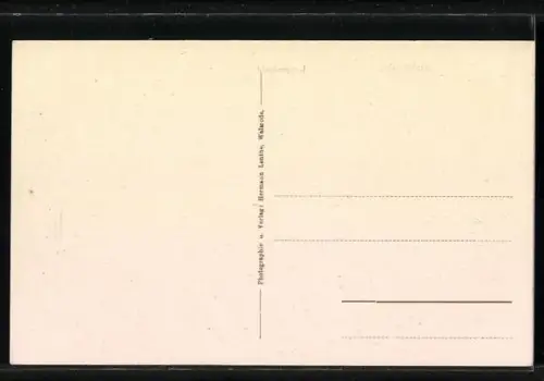 AK Walsrode, Geschäft von Heinr. Bohrmann in der Langestrasse