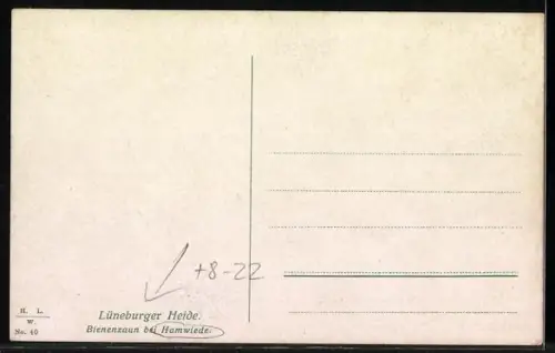 AK Bienenzaun bei Hamwiede in der Lüneburger Heide