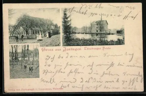 AK Jarlingen /Lüneburger Heide, Teich mit Schwänen, Rehe in einem Gehege, Partie im Ort