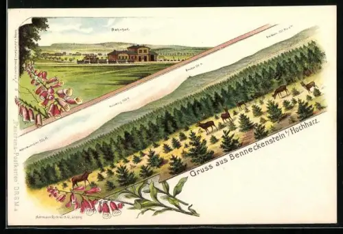 Lithographie Benneckenstein, Bahnhof mit Eisenbahn