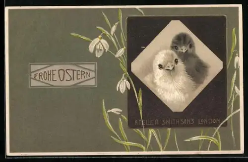 AK Atelier Smith Sons in London, Schwarzes und weisses Osterküken