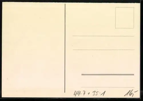 AK Schildkröt-Puppen auf Schlitten, Reklame