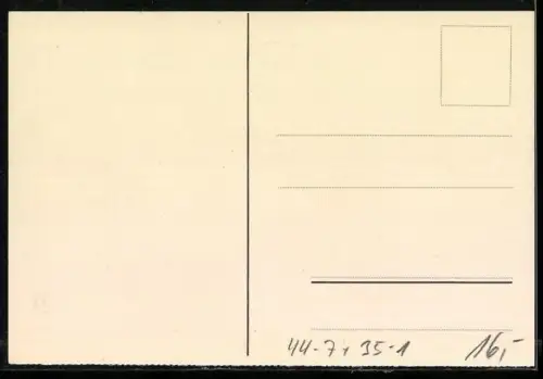 AK Schildkröt-Puppen auf Schlitten, Reklame