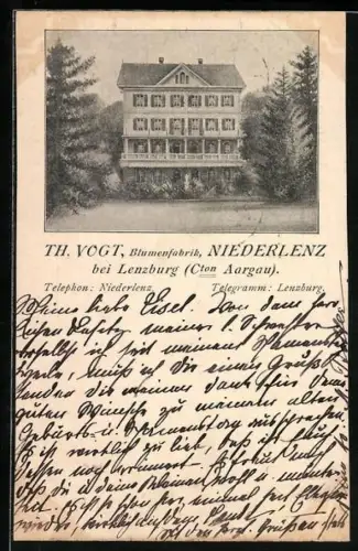 AK Lenzburg, Blumenfabrik Niederlenz, Inh. Th. Vogt