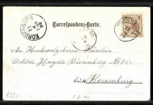 Lithographie Bad Johannisbrunn /oesterr. Schlesien, Kirche in Meltsch, Villa Rosa, Villa Elisabeth