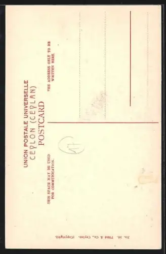 AK Colombo, Sea Shore