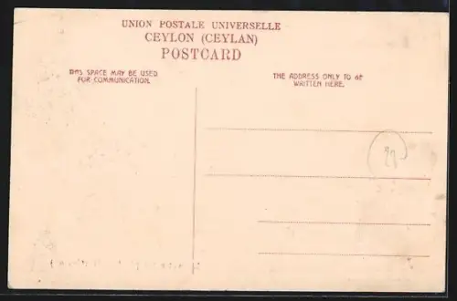 AK Kandy, Malwatte temple