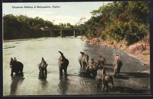 AK Katugastota /Ceylon, Elephants Bathing