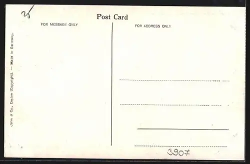 AK Katugastota /Ceylon, Elephants Bathing