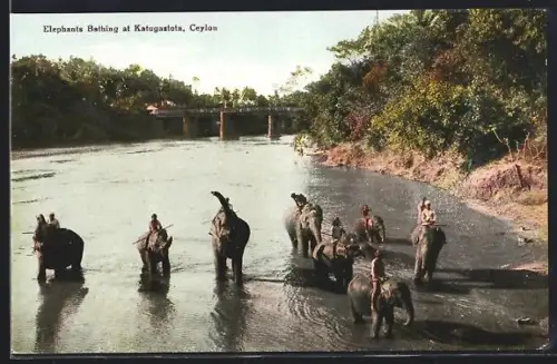 AK Katugastota /Ceylon, Elephants Bathing