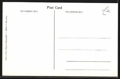 AK Katugastota /Ceylon, Elephants Bathing