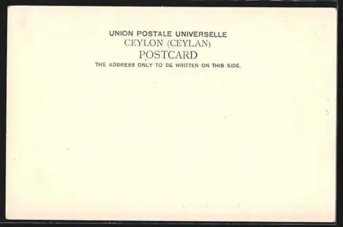 AK Colombo, Street Scene Grand Pass