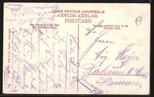 AK Kandy, General View