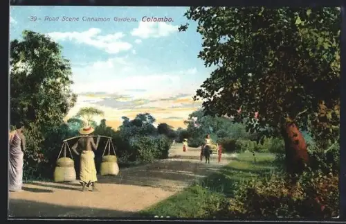 AK Colombo, Road Scene Cinnamon Gardens