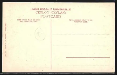 AK Kandy, Round the Lake