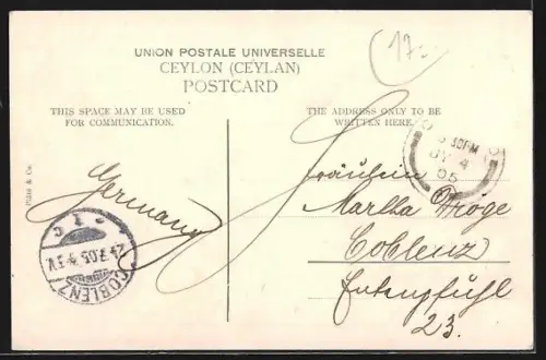 AK Ceylon, After the day`s labour