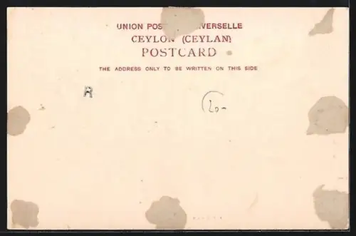 AK Colombo, Einheimische Hütten