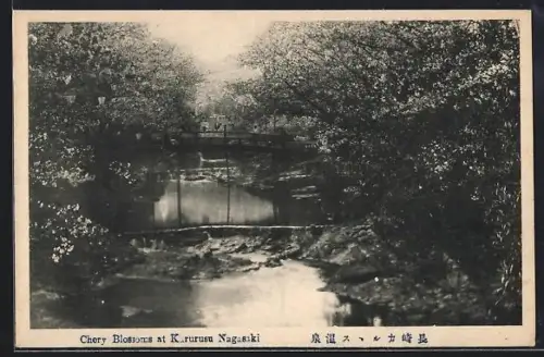 AK Nagasaki, Cherry Blossoms at Karurusu
