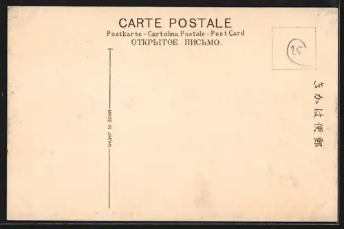 AK Nikko, Within of Toshogu Temple