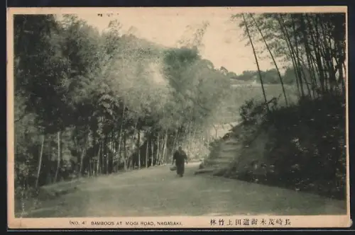 AK Nagasaki, Bamboos at Mogi Road