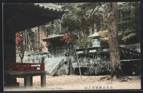AK Nikko, Temple of Toshogu