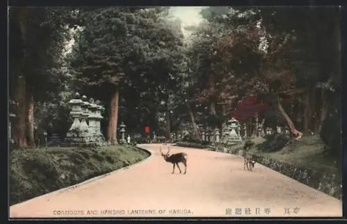 AK Kasuga, Corridors and Hanging Lanterns