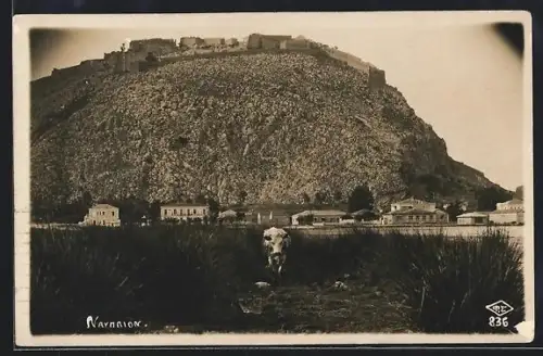 AK Nauplion, Ortsansicht mit Blick zur Festung