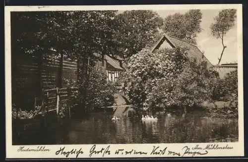 AK Hudemühlen, Am Mühlenstau
