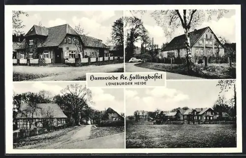 AK Walsrode-Hamwiede, Geschäft und Strassenpartien