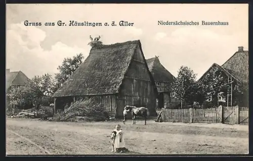 AK Gr. Häuslingen a. d. Aller, Niedersächsisches Bauernhaus