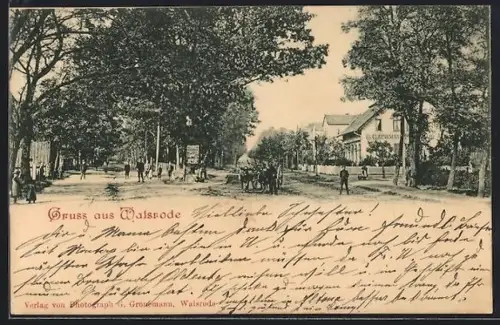 AK Walsrode, Strasse am Eckernworth