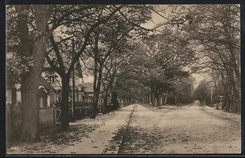 AK Walsrode, Strasse zur Eckernworth