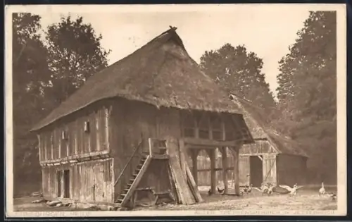 AK Jettebruch, Gehöft mit Gänsen und Hühnern