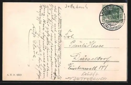 AK Jettebruch, Gehöft mit Gänsen und Hühnern