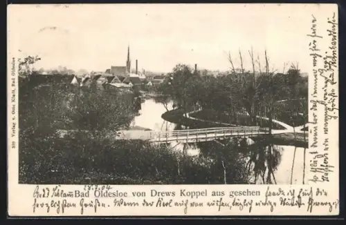 AK Bad Oldesloe, Blick von Drews Koppel auf Stadt und Kirche