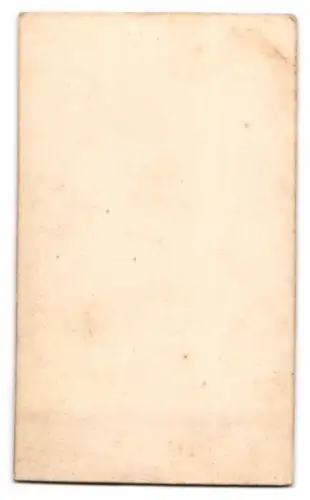 Fotografie Portrait junge Frau im karierten Schulterfreien Kleid