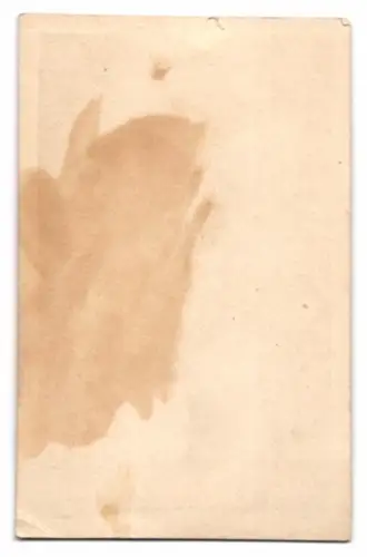 Fotografie Brandseph, Stuttgart, junger Knabe im Anzug mit Holzspielzeug Pferd und Gewehr samt Trommel